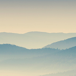 无限循环呼叫短信软件