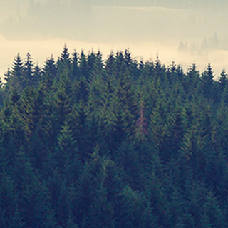 正版授权码的短信测压