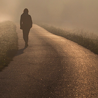 在线手机号轰炸