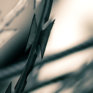 手机号网页在线轰炸源码